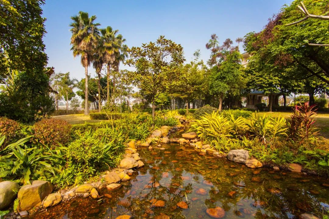 东莞汇景酒店足浴,东莞汇景酒店住宿攻略