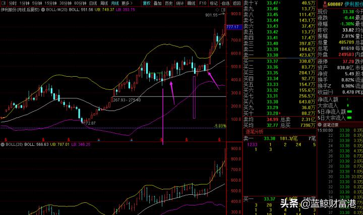 伊利股价还能往下跌多少,伊利股份未来十年股价能超500元吗