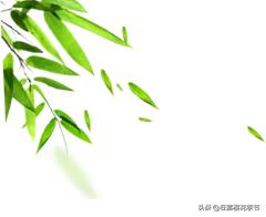 马祖岩人文公园大概多少公里,马祖岩人文公园夜光路