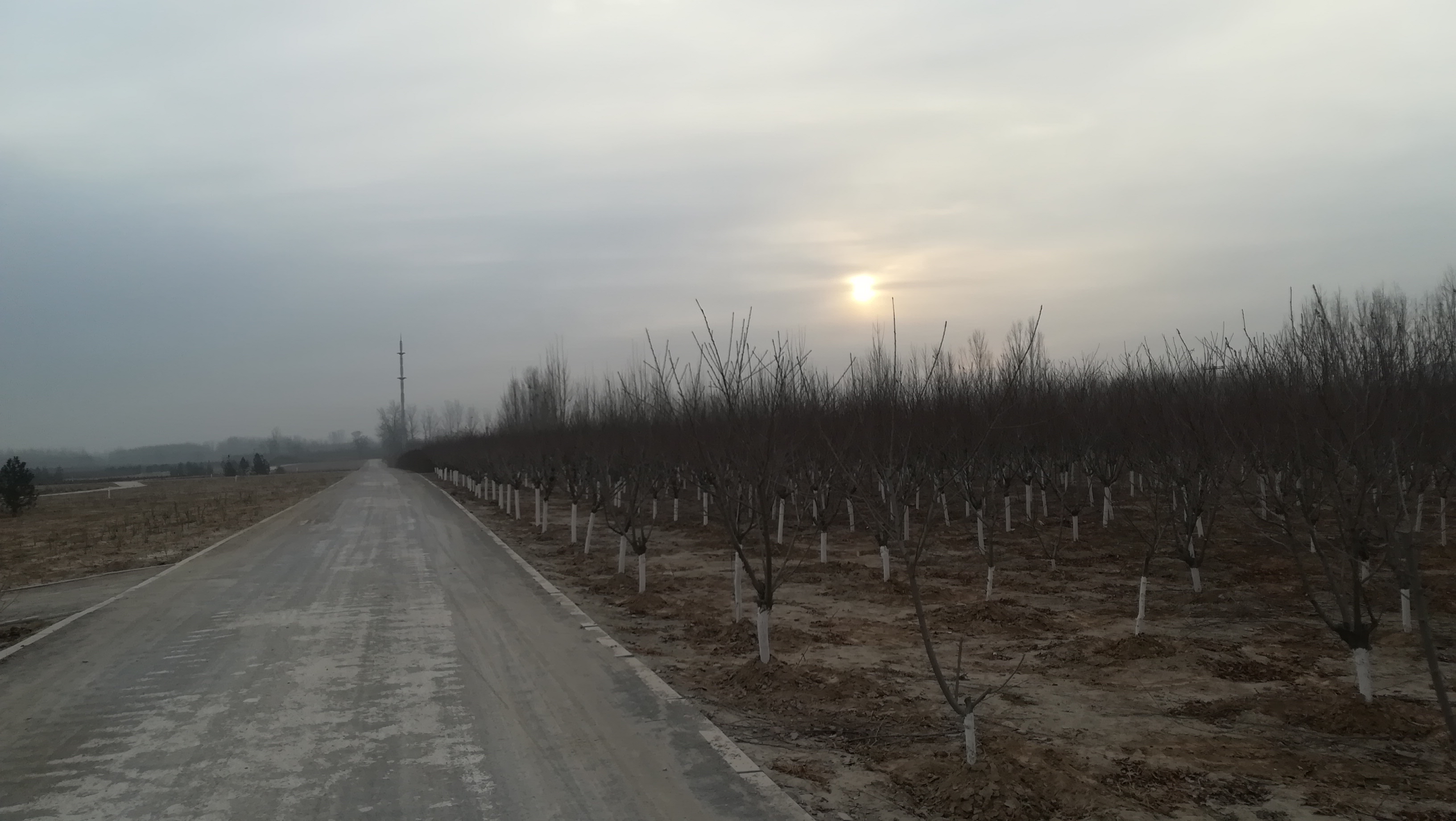 发烧断食好吗,感冒发烧适合轻断食吗
