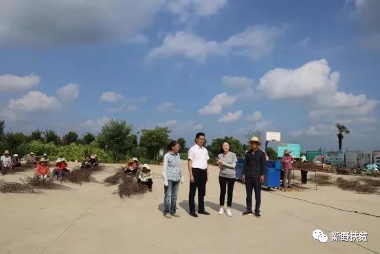 央视《我爱发明》栏目走进新野县王集镇天赐园扶贫基地