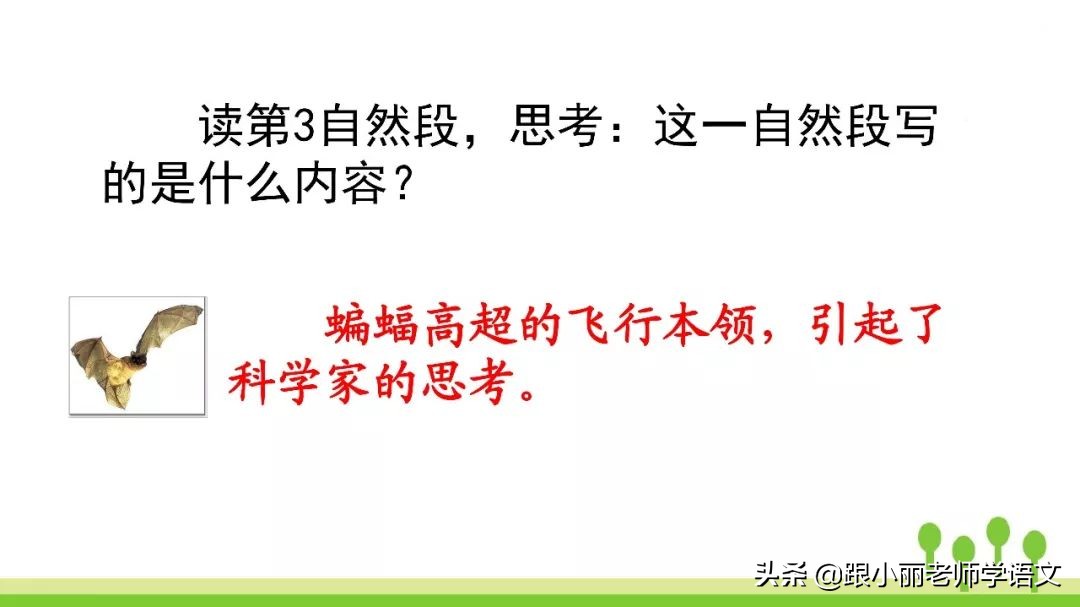 语文思维导图四年级上蝙蝠和雷达,人教版四年级上册蝙蝠和雷达朗读