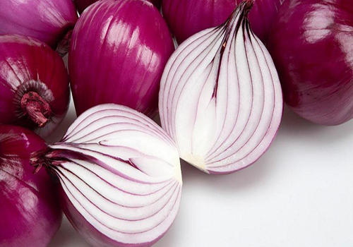 养泰迪屎尿怎么解决,养宠经验泰迪狗身上掉毛怎么治疗