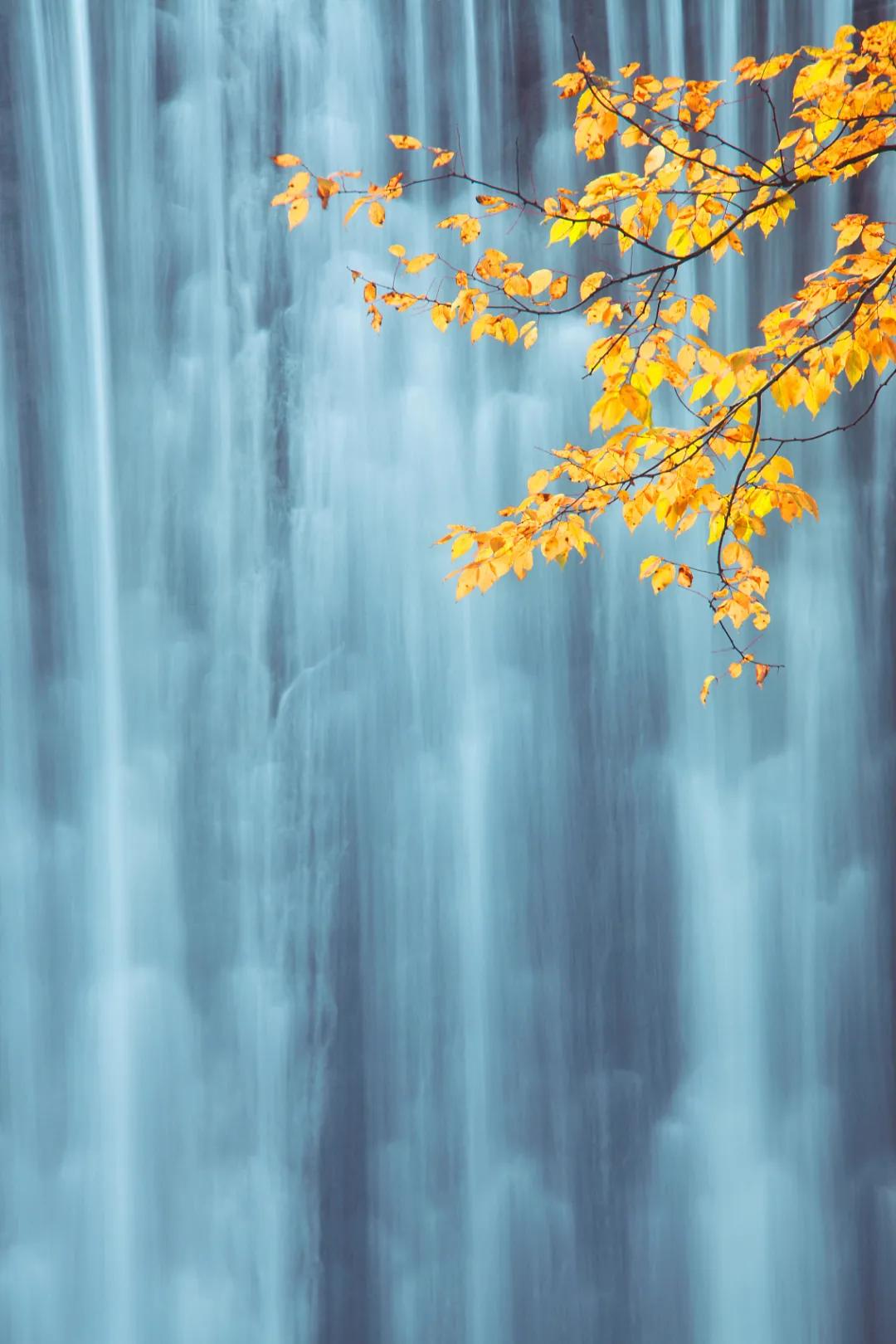 今日秋分|微凉秋雨浸润宛城