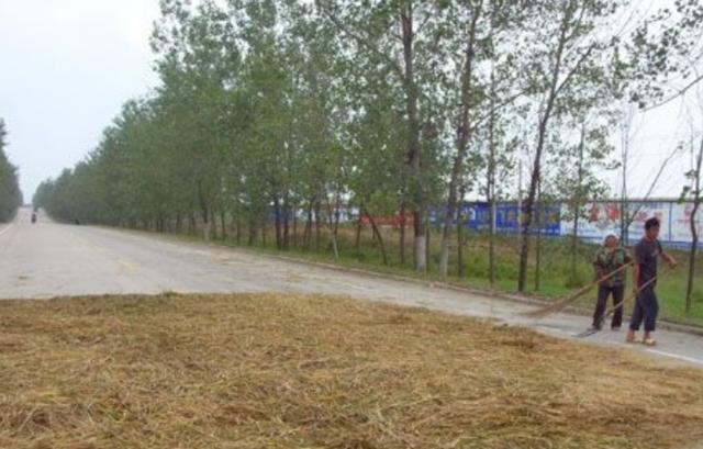 在路上晒粮食车子压着违法吗,开车遇到大车压过的路面