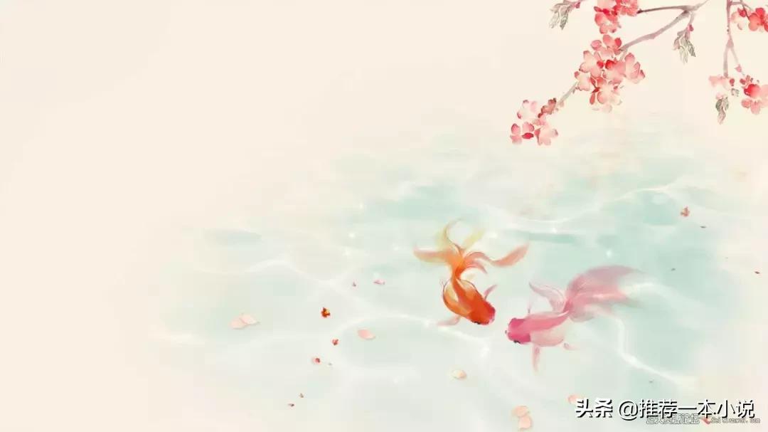 《我的不高兴先生》作者：一支小竹子