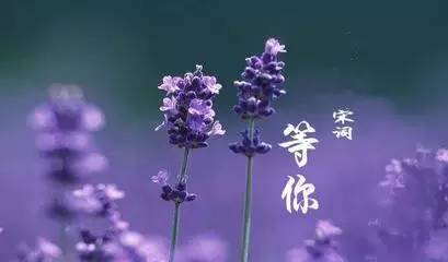 值得读十遍以上的书,值得读书籍有哪些