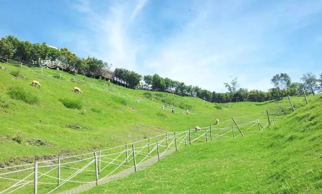 台湾文创标杆——清境农场!