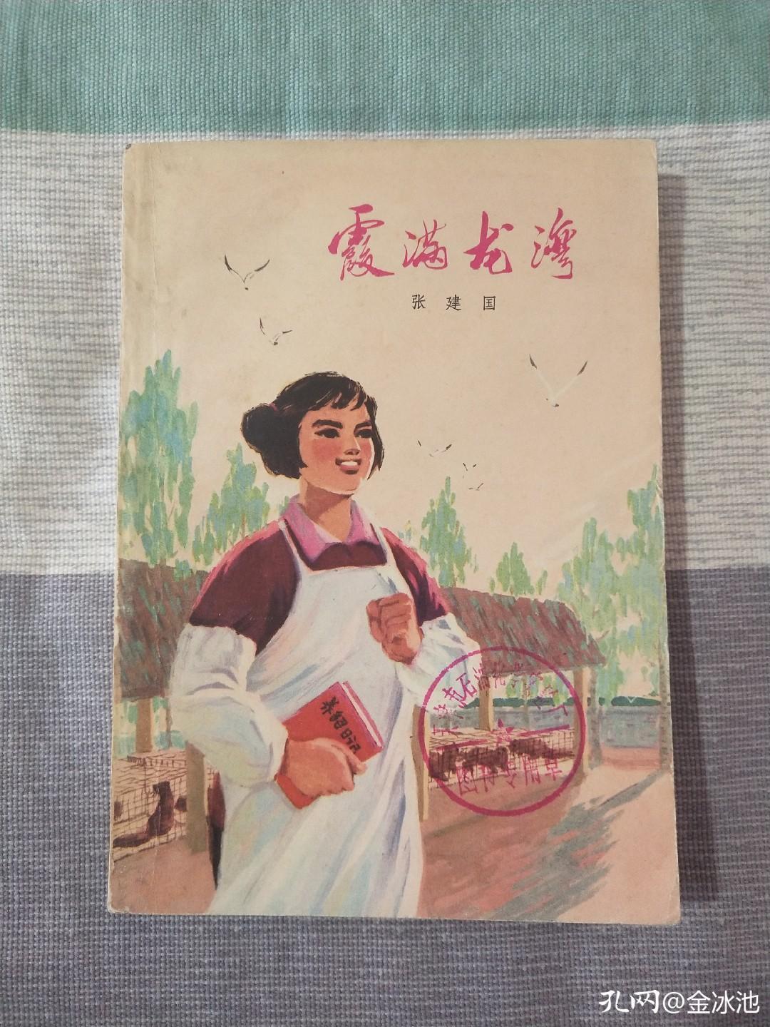 每当淘到少年时读过的*革文**小说,我都会倍感亲切温暖