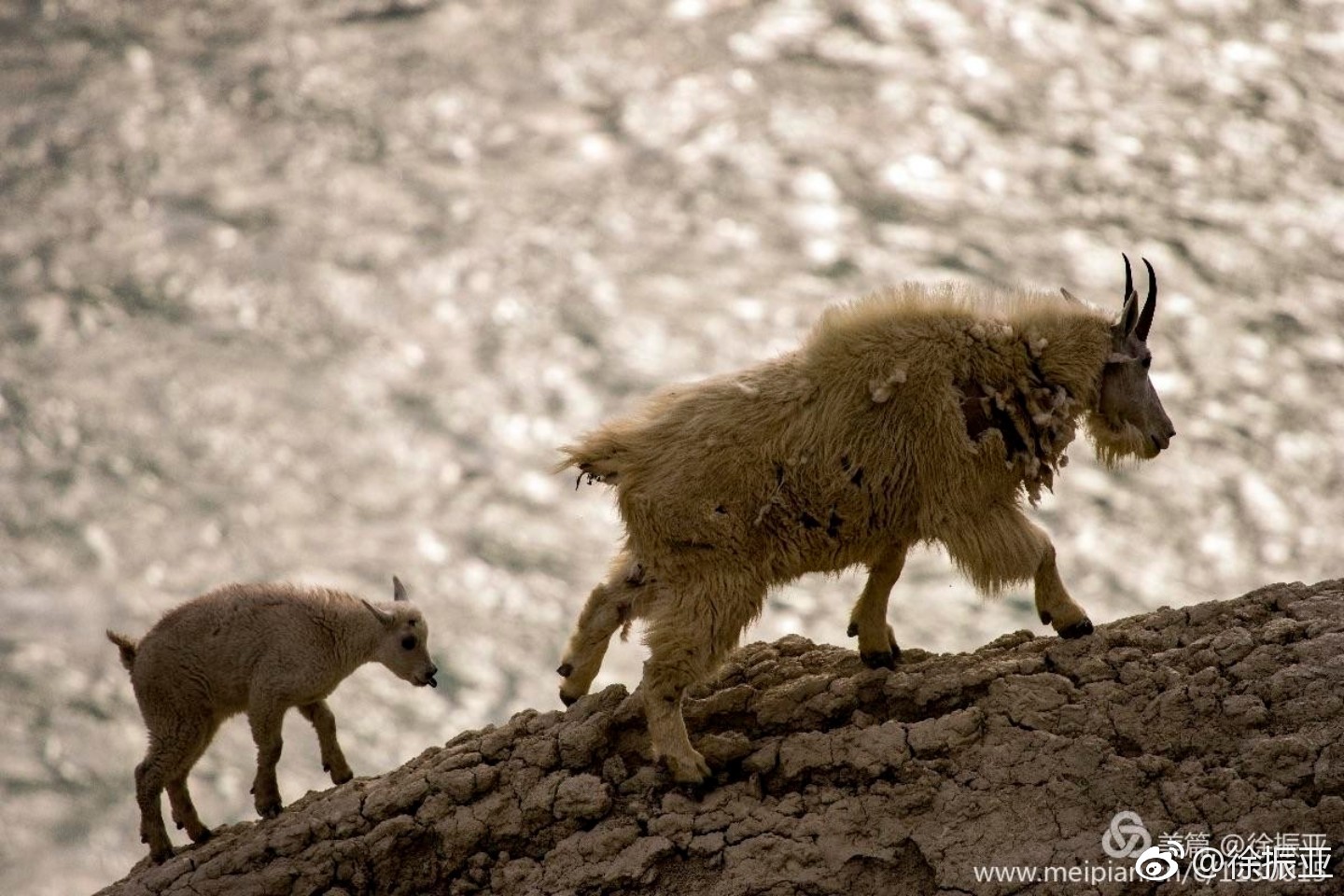 班芙国家公园,班芙国家公园照片
