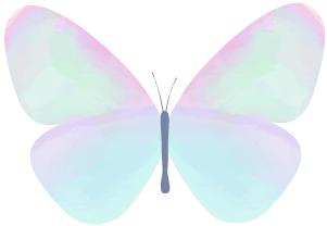 向子平微博,向子平先生