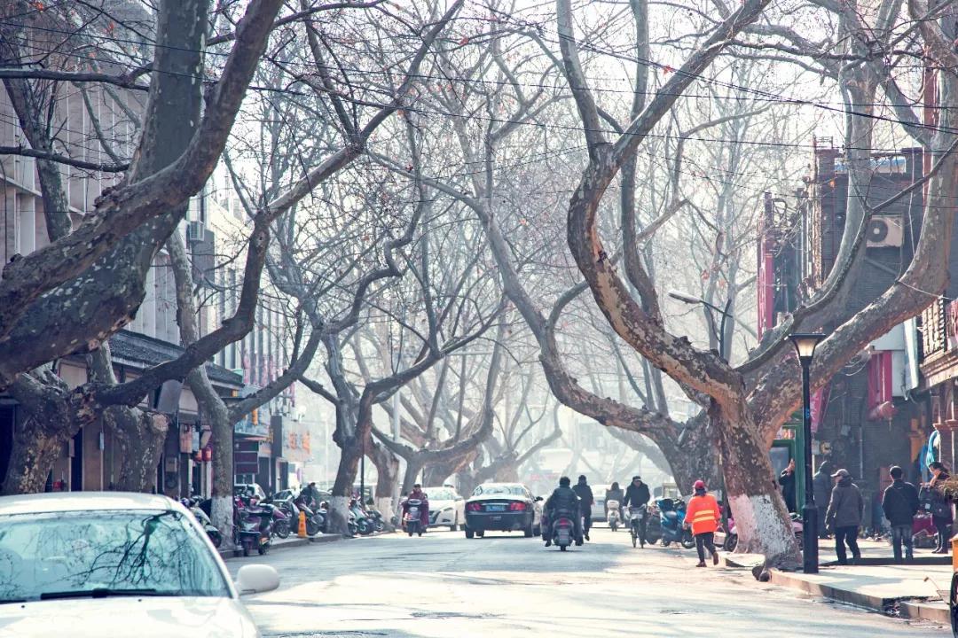 南京是一个不容易错过的城市,南京这座城市让人流连忘返