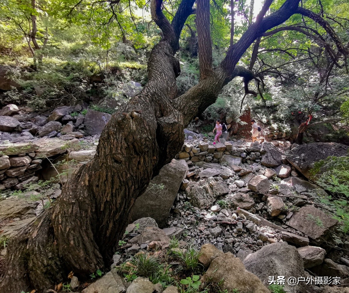 我的户外日记视频,我的户外日记旅游