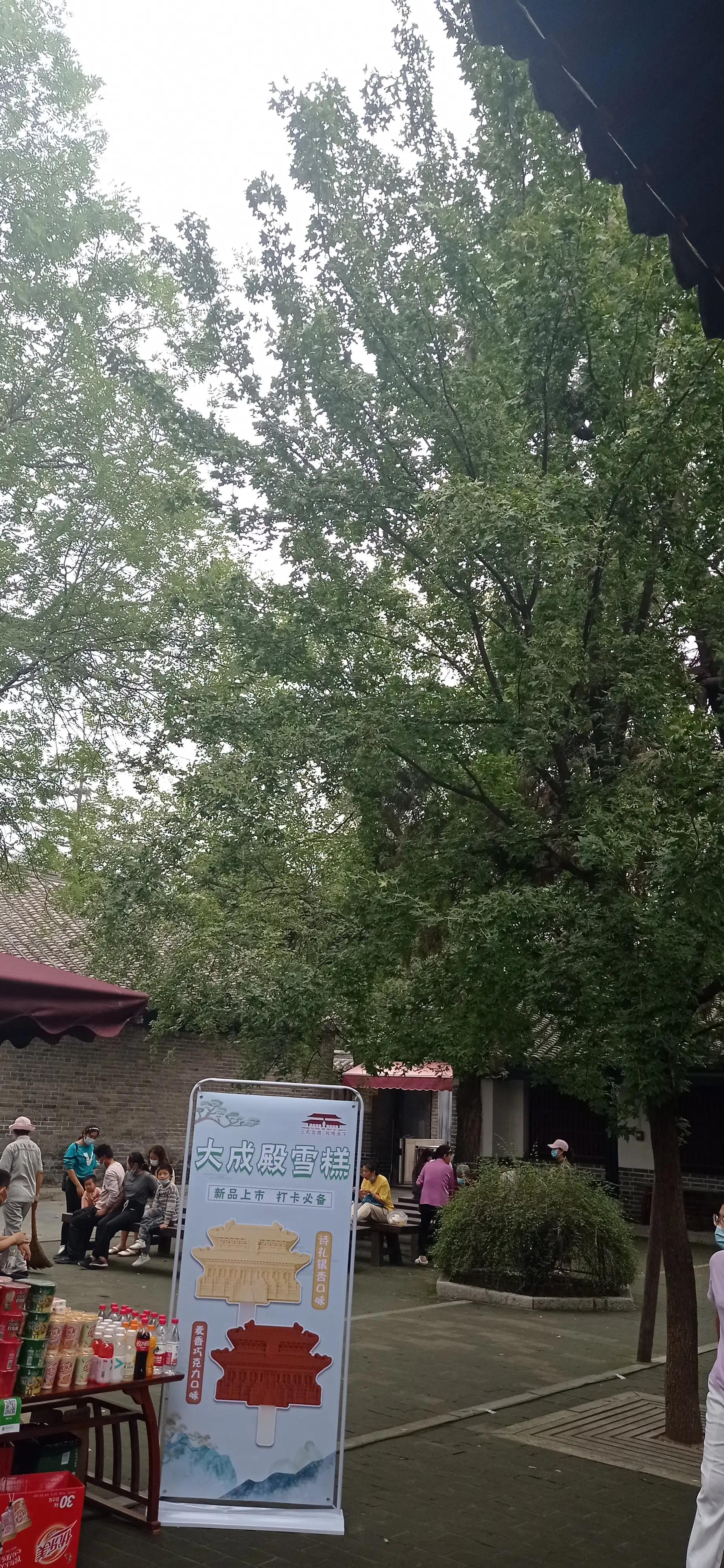 血小板聚集率正常范围,老年人血小板正常范围是多少