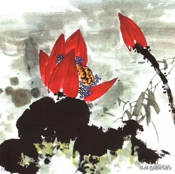 荷花的画法和步骤图解,最简单的荷花画法一学就会