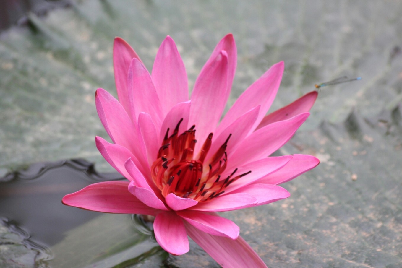 20161218桂林洋大学城返校记（那一年的海口青年户外）