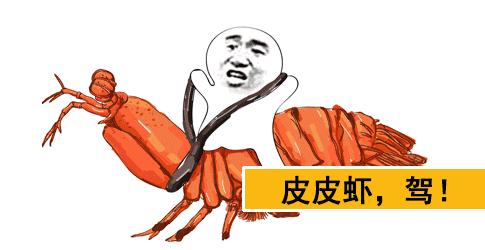 14万买辆2014款的宝马X1怎么样？买家：看到真实车况我就放心了