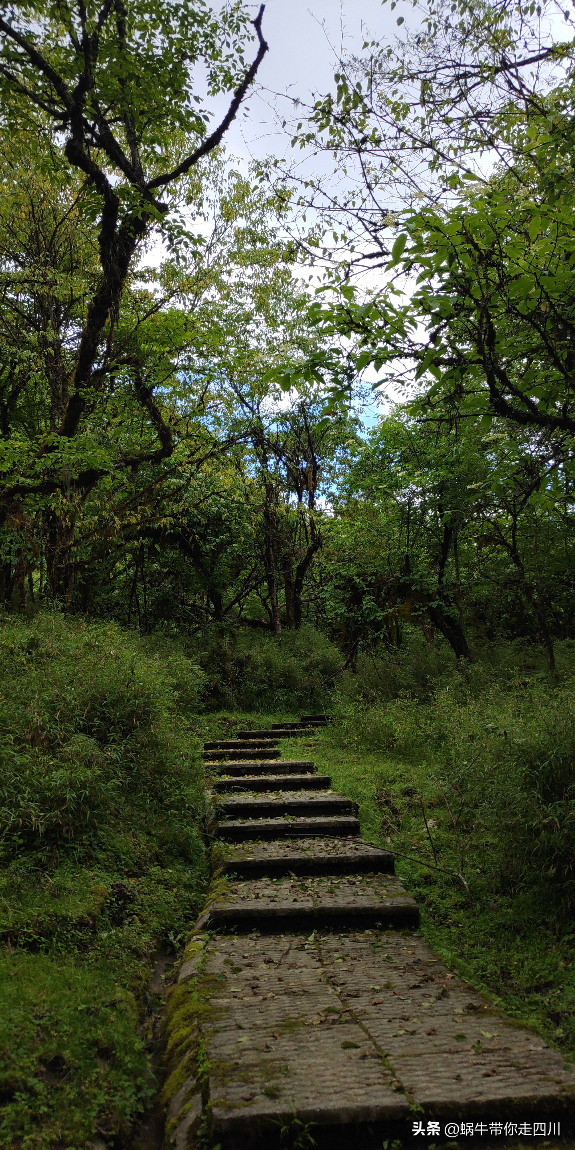 带小朋友出去看小动物,带小孩去海洋动物园