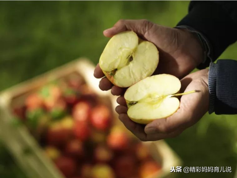 营养又美味宝宝爱吃,宝宝爱吃又营养