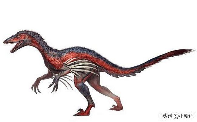 什么恐龙是恐龙世界最厉害的恐龙,恐龙世界最强大的恐龙是什么恐龙