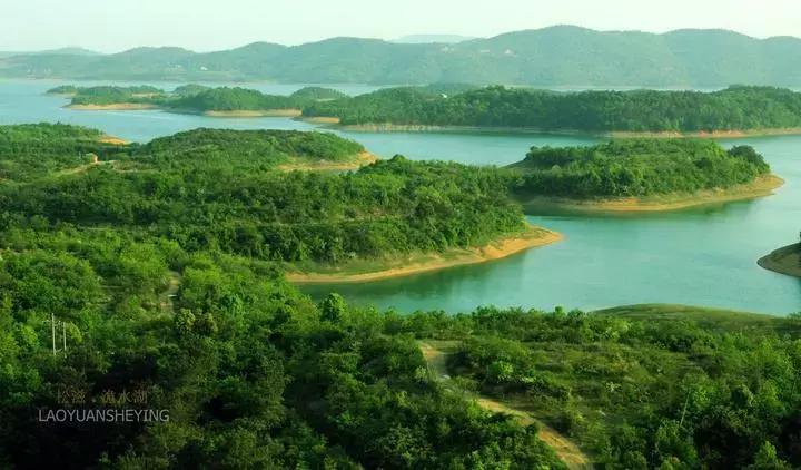 湖北38座城市公园数量排名,湖北有多少园林城市