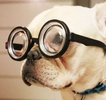 如何避免戴眼镜对颜值的影响,戴眼镜对人颜值的影响