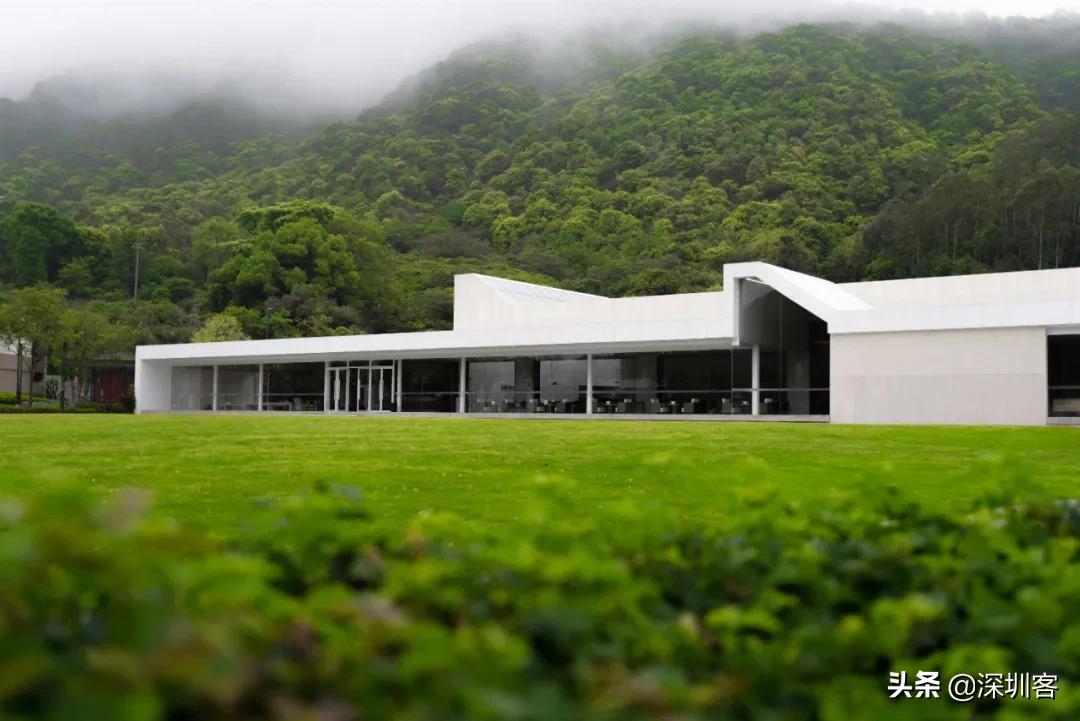 安藤忠雄的青苹果里，藏着湾区的“桃花源”
