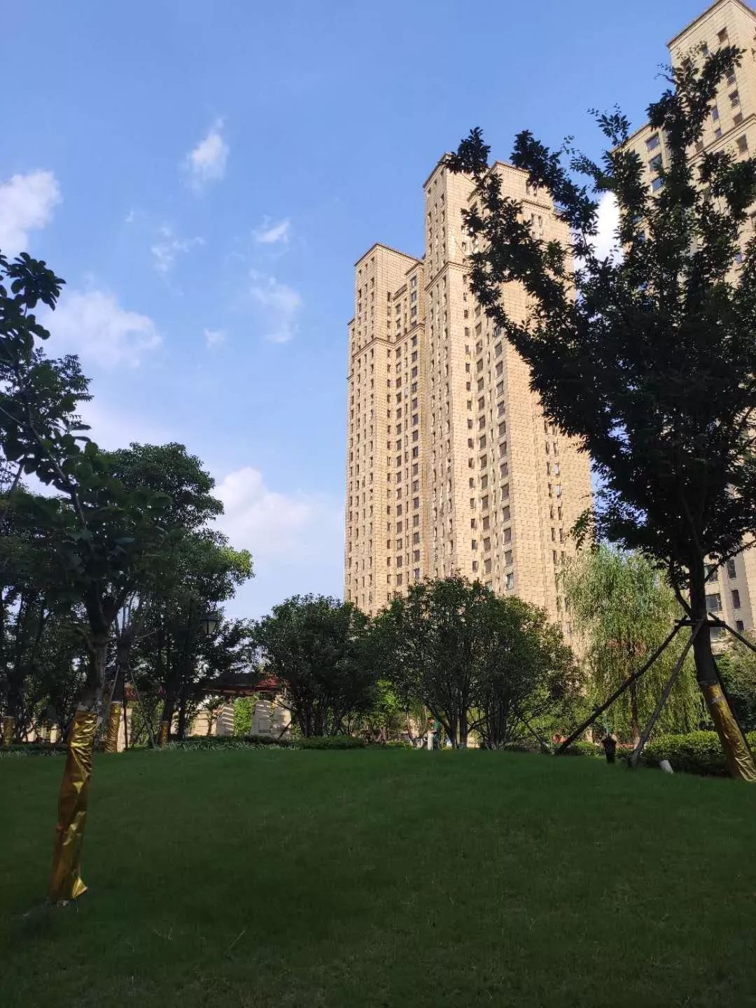 归来仍是少年古玩市场,归来仍是少年季羡林