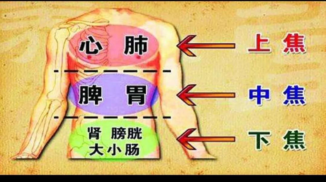 为何吃逍遥丸会失眠,为什么吃逍遥丸会瘦