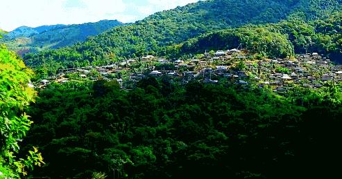 每个人心中都有一个西双版纳,西双版纳最吸引你的是什么