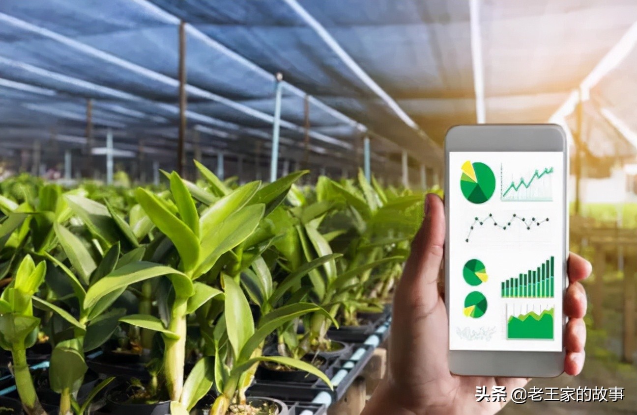 农业农村部农业项目扶持资金,数字农业建设试点项目补贴的要求