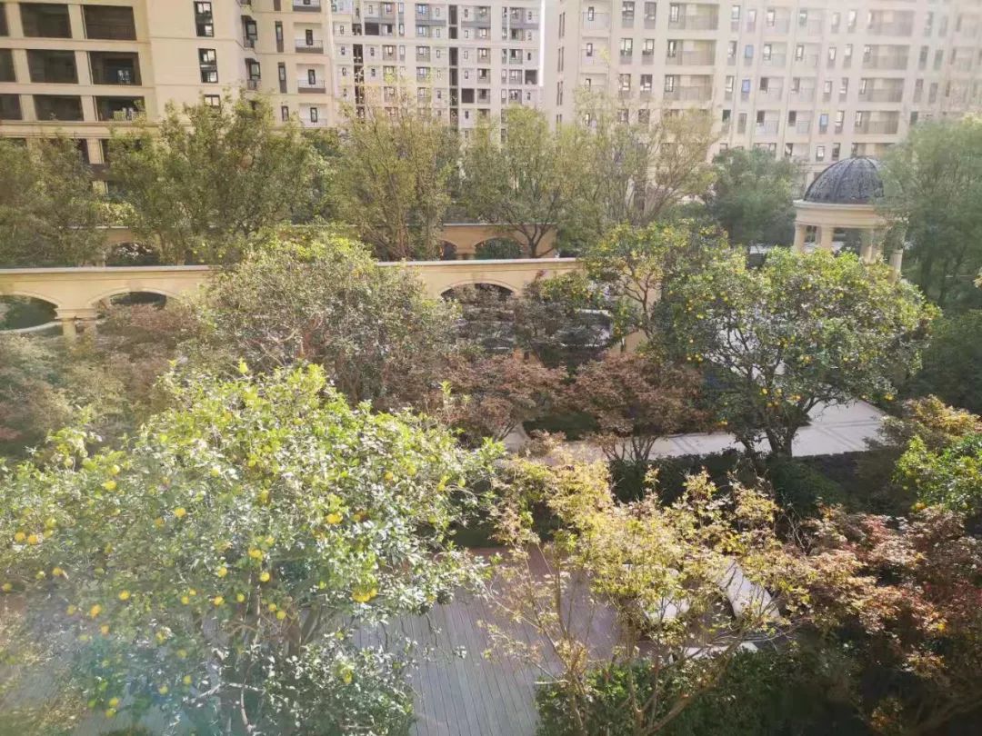 上海网红花桥,上海世博会过气网红