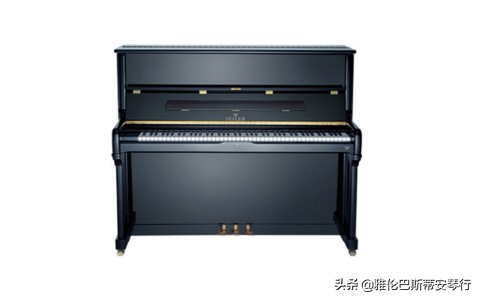 深圳雅伦巴斯蒂安琴行,东莞雅伦巴斯蒂安琴行