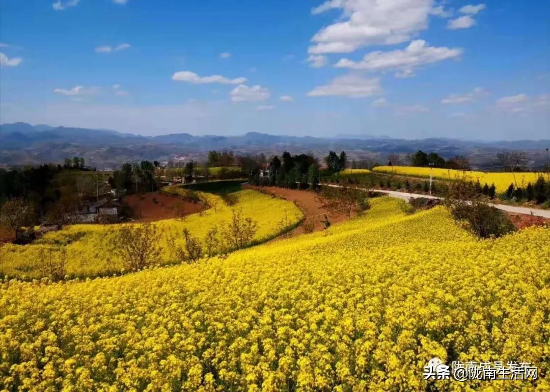 我叫成县，这是我2019年的自拍照