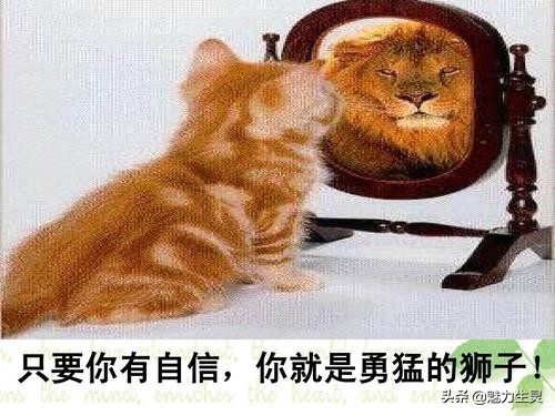 遇到恶狗咬人怎么办抖音视频,遇到咬人的恶狗应该拿什么反抗