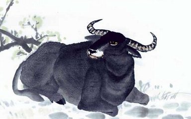 2019猪生肖每月运势李居明,2019特吉生肖运势