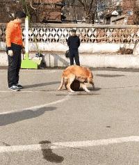 去按脚碰到前女友，怎么化解尴尬