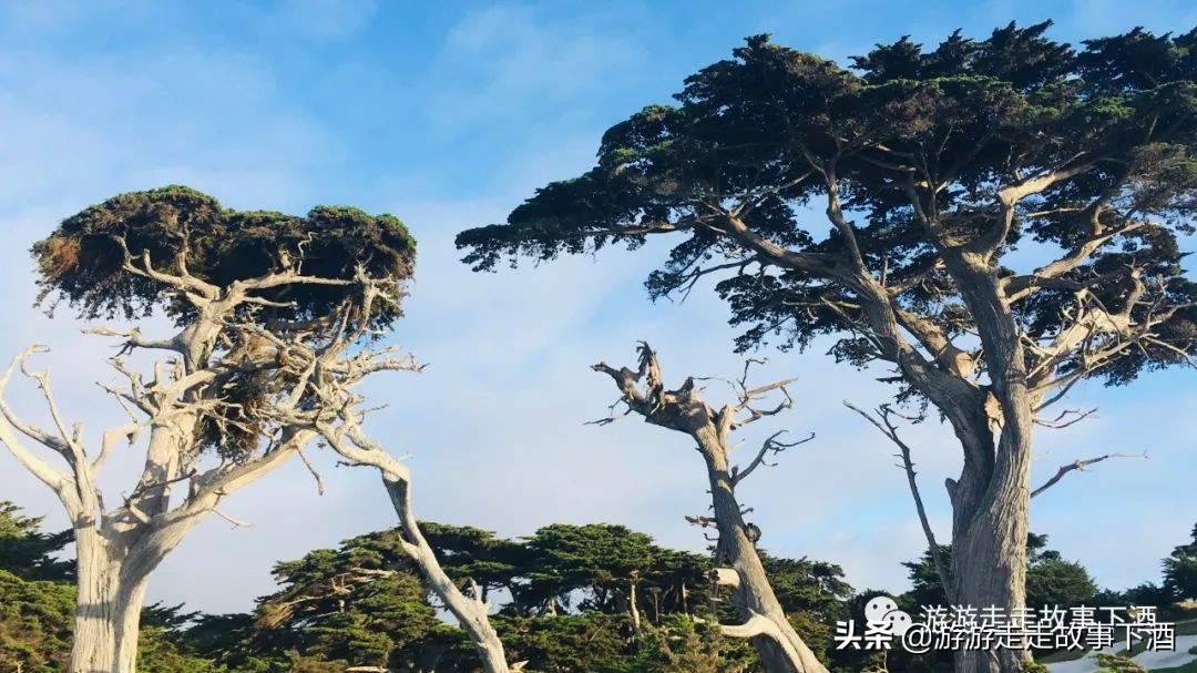 美国西部自驾圣地,美国冬季西部自驾游