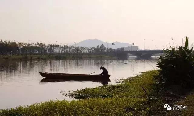 宁波踏青好去处自驾,宁波周边免费踏青爬山
