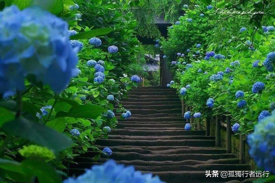 灌篮高手镰仓打卡攻略,镰仓高校前站和镰仓大佛