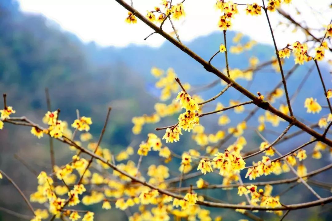 十堰旅游吃什么,十堰又能吃又能玩的地方