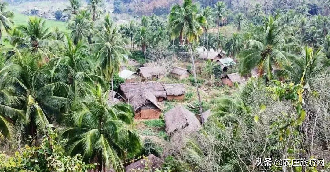 有历史文化气息的老院子,老院子美到骨子里