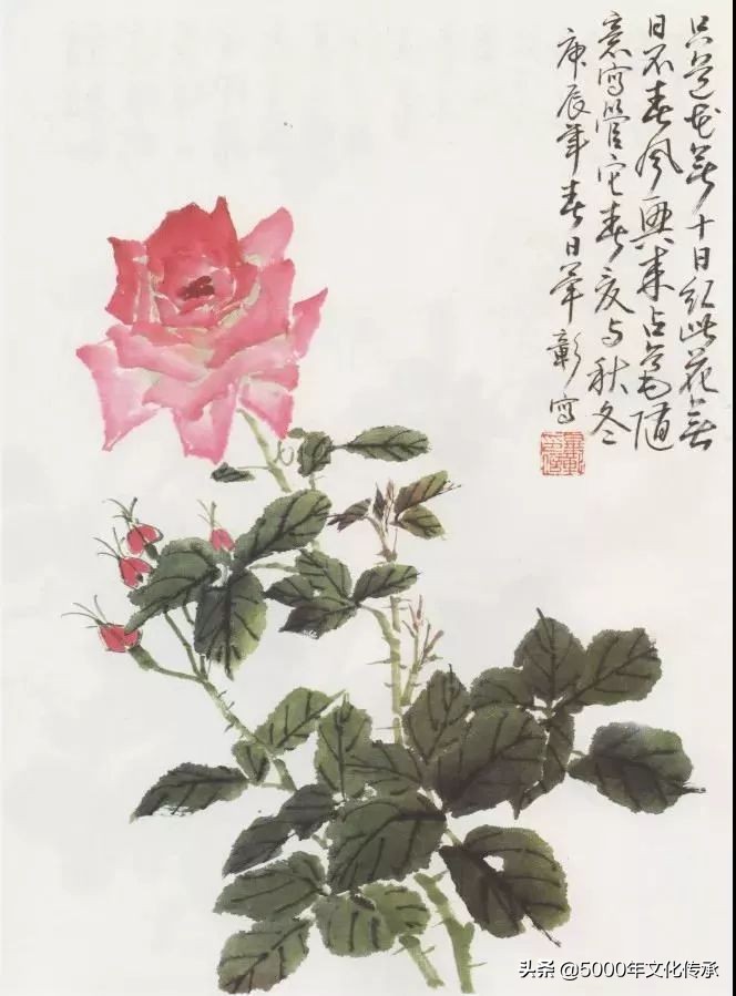 国画技法月季花写意画法详解,中国画写意月季花的详细画法