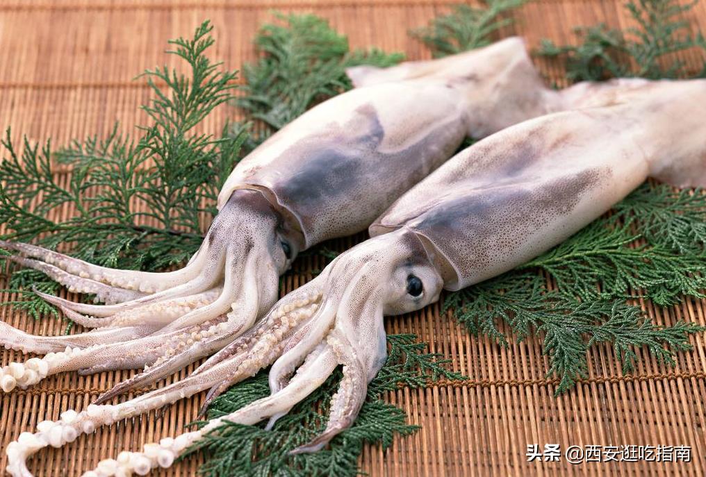 十种常吃的海鱼图片,5种常见的海鱼