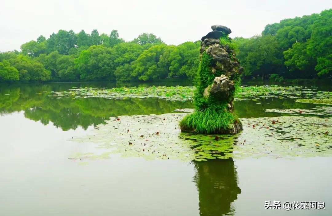 江南最忆是杭州,江南好最忆是杭州朗读