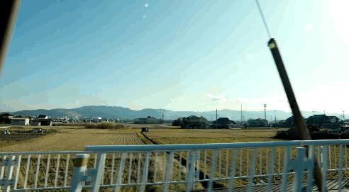 日本制瓷大师12月花神杯,英国制瓷大师视频