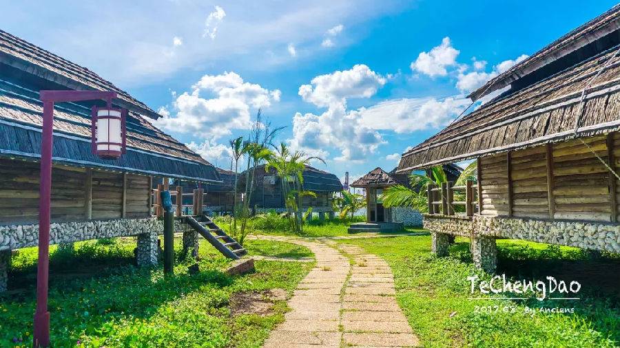 湛江一日游最佳景点湛江特呈岛,特呈岛湛江旅游攻略