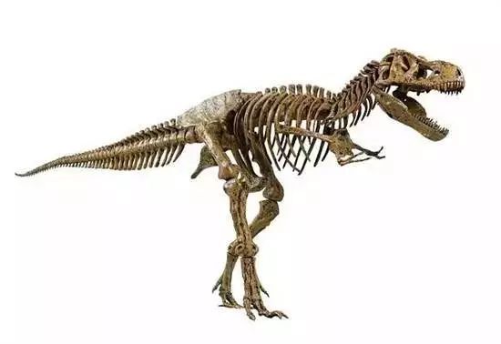 顺德的人性格特点,顺德人的素质和特点