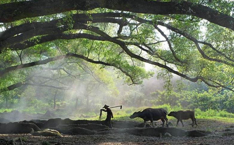 余华活着经典句子和感悟,余华的活着经典语录和解析