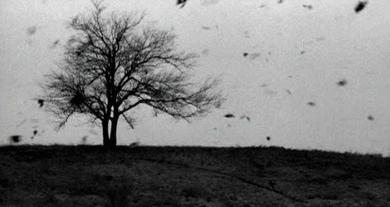 小孩一吹风就起风疹为什么,孩子一吹风就感冒了怎么办